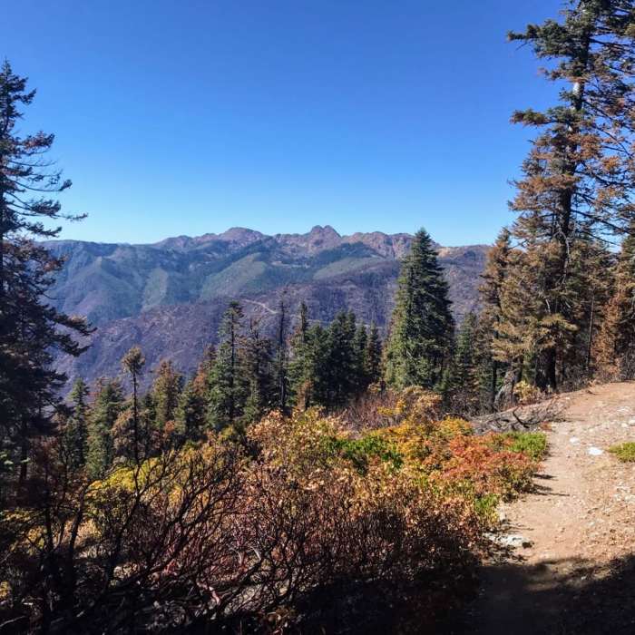 Near Pacific Crest Trail: California Section R