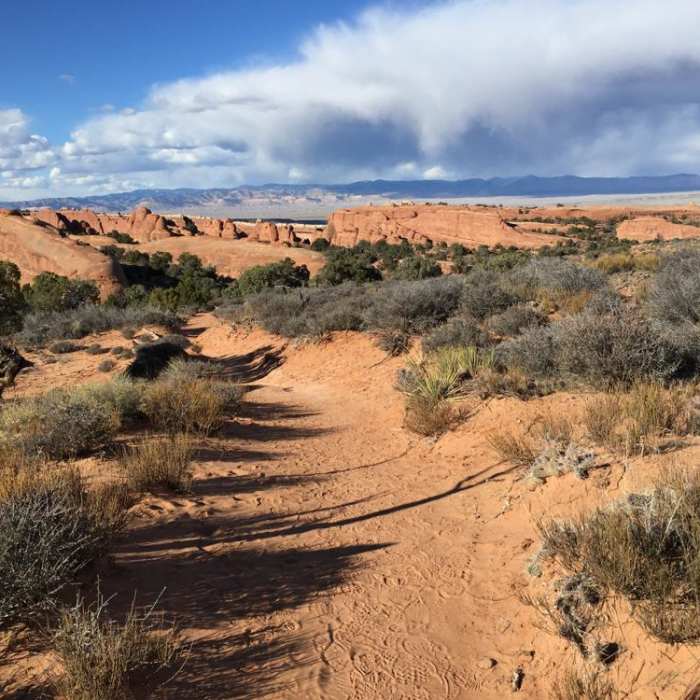 Near Devils Garden Primitive Loop Trail