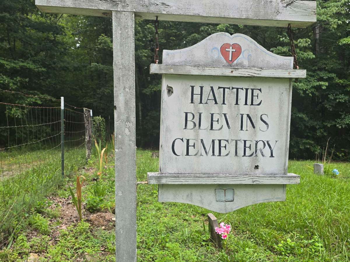 Blevins Cemetery Road photo 4