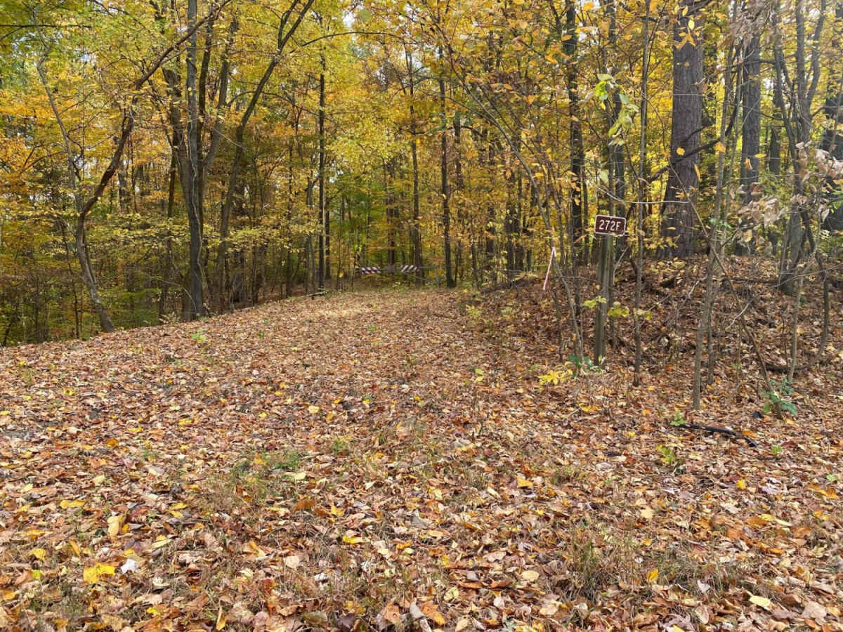 Gale Trail Road FSR 272 photo 4