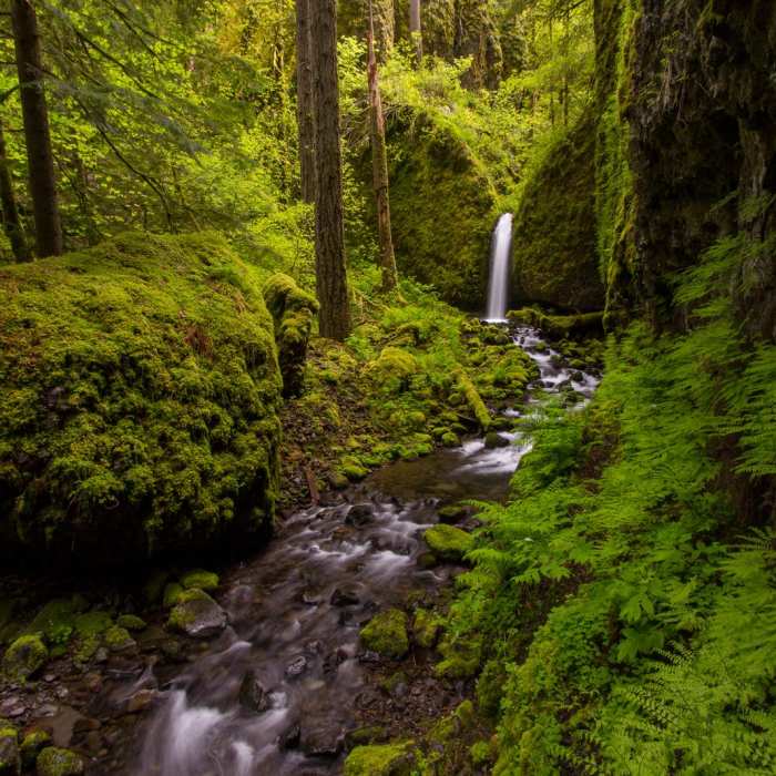 Near Ruckel Ridge Loop Hike