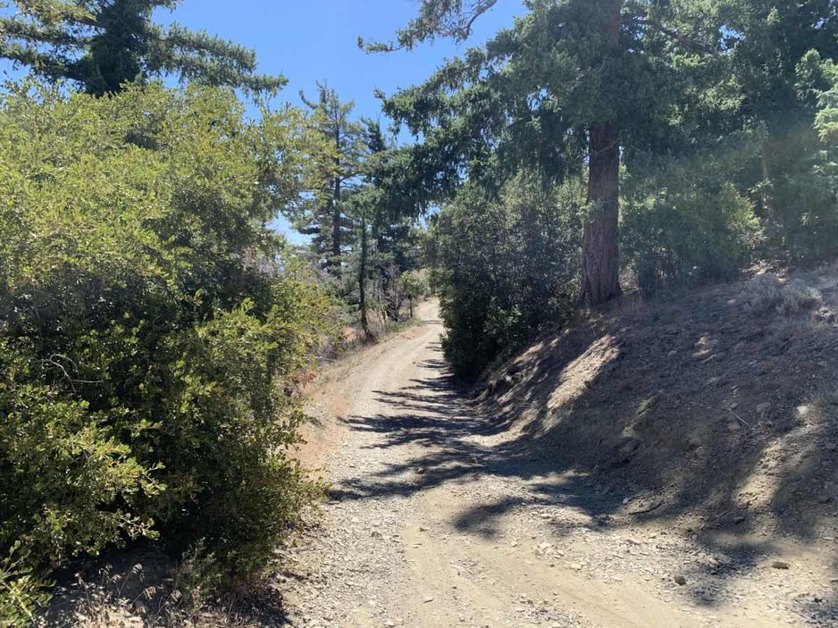 Gobblers Knob Spur A trail photo