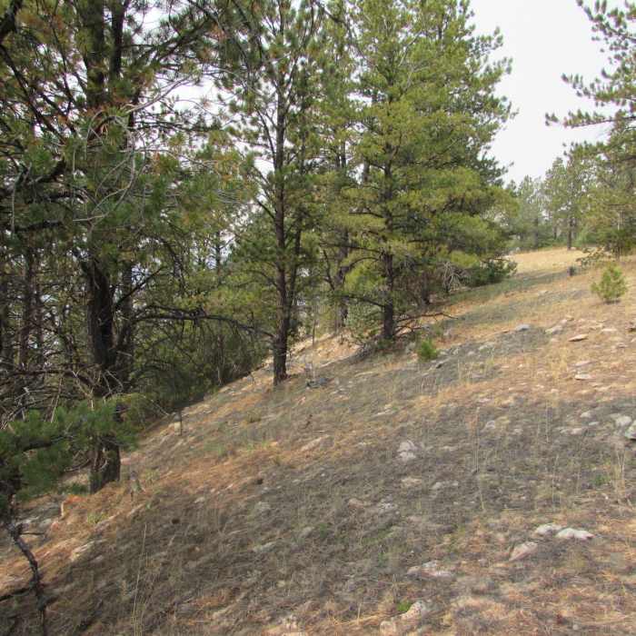 Near Leigh Monument Out-and-Back