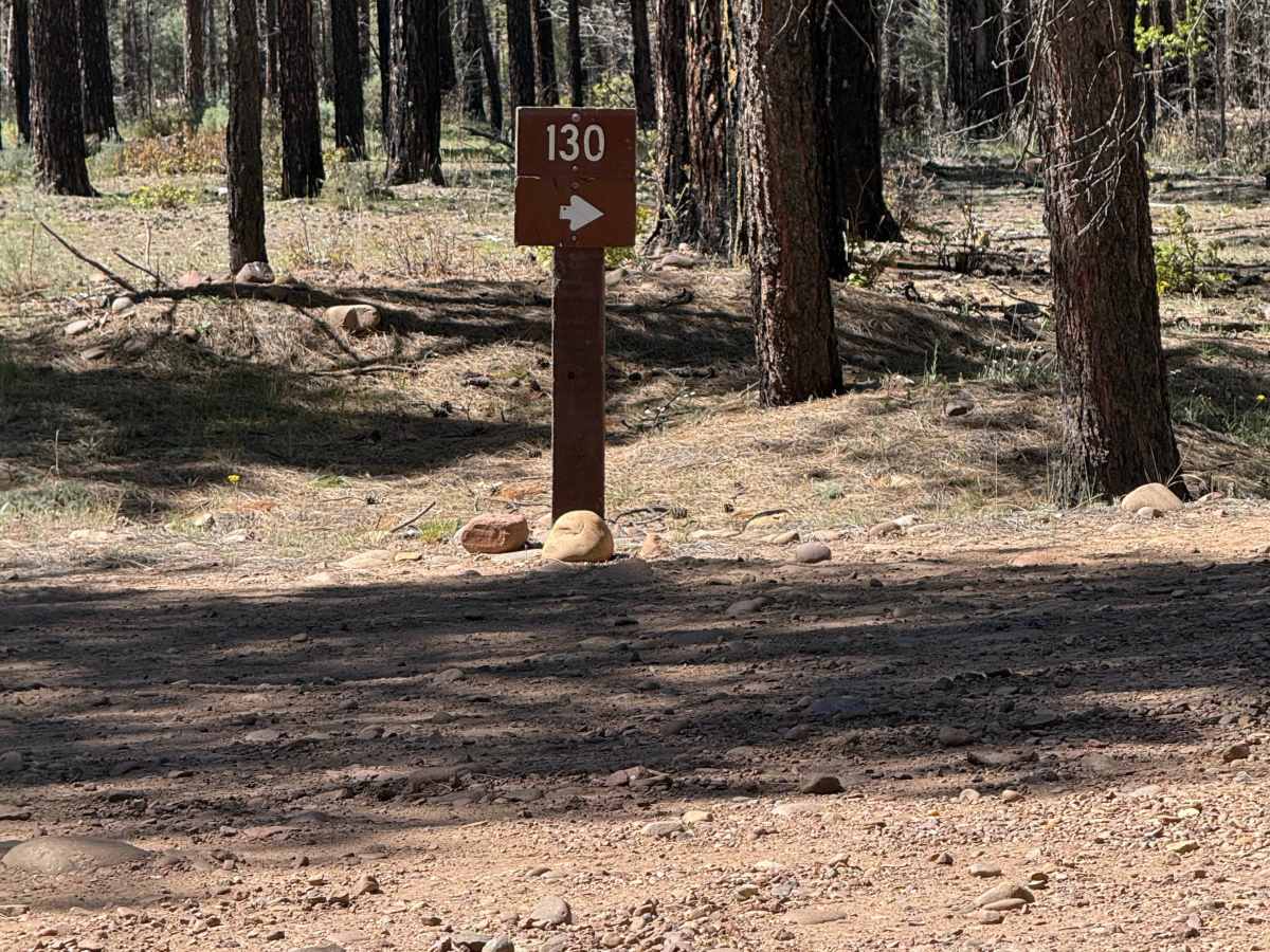 Pinedale Rim - FS 130 photo 3
