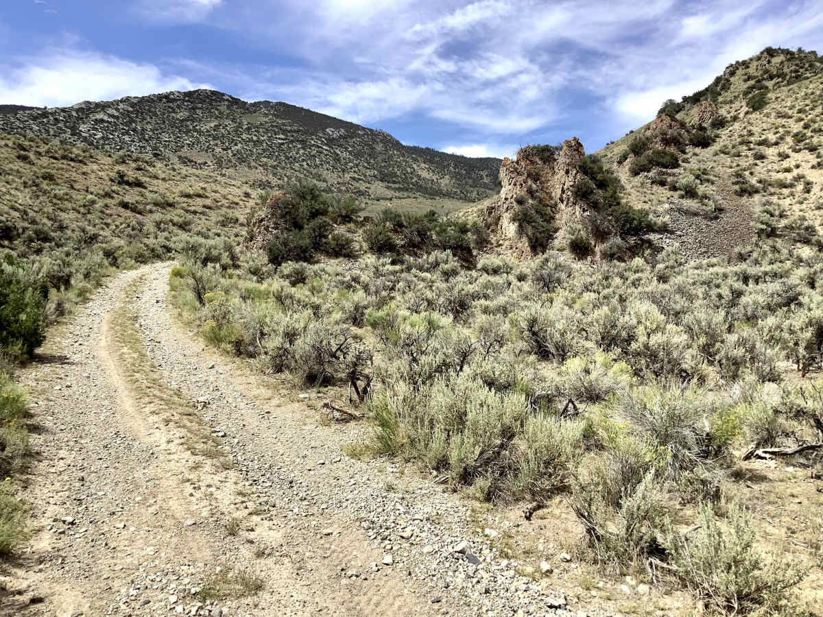 Deer Basin Trail photo 3