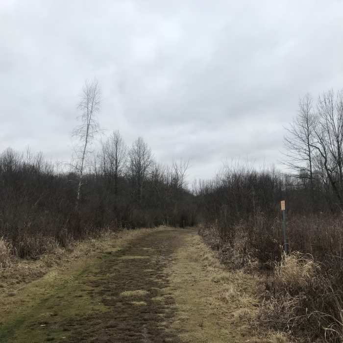 Near Pheasant Run Trail