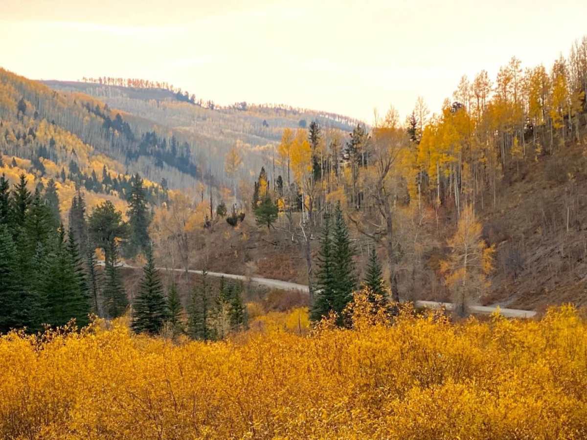 South Fork Ilium Road trail photo