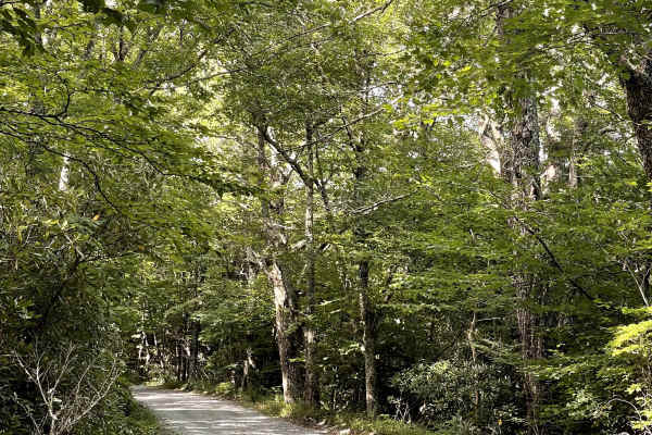 Carroll Gragg Road