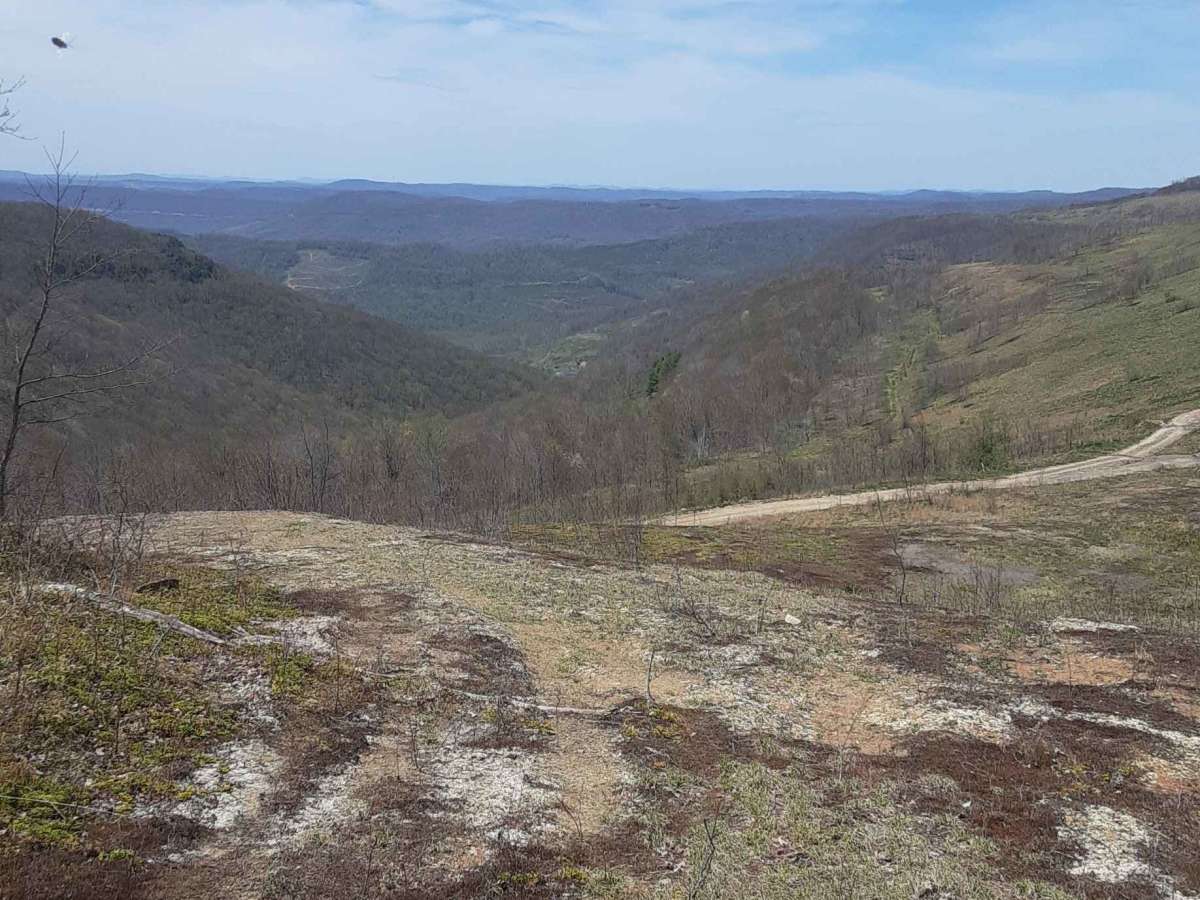 Bald Knob photo 3
