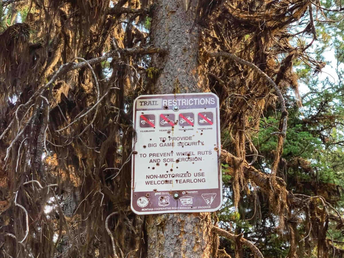 Sawmill Saddle trail photo
