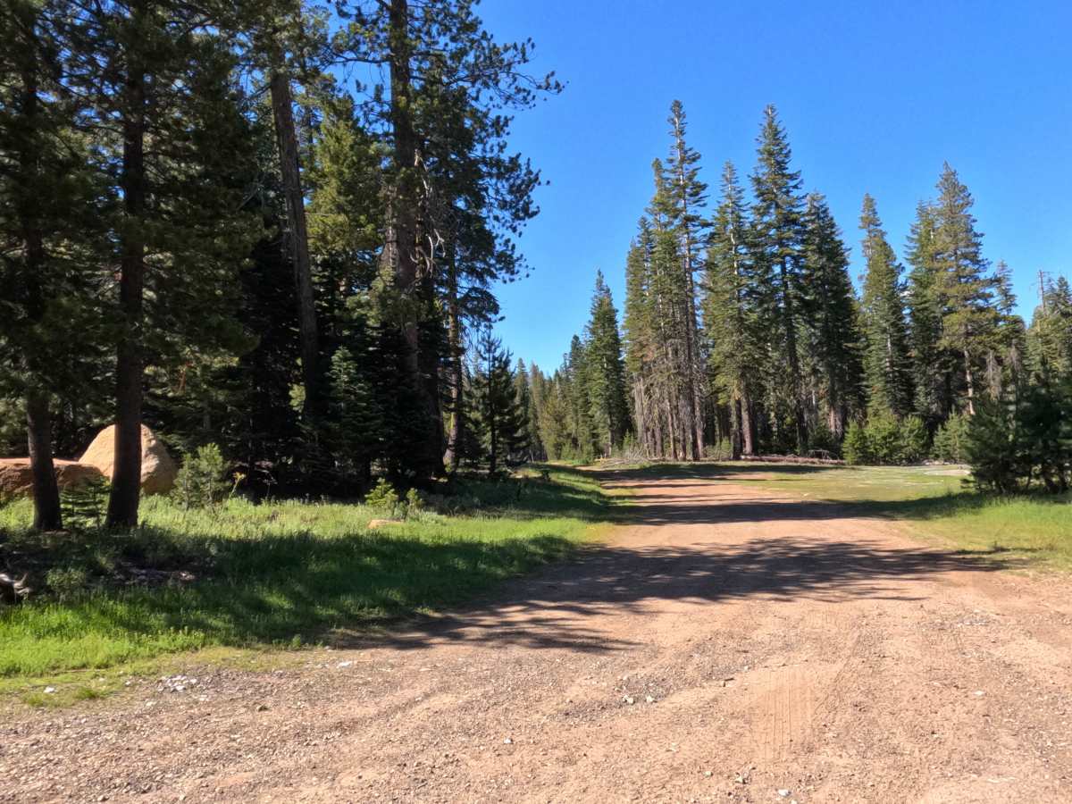 Wilson Meadows Road -  FS 11N37F photo 3