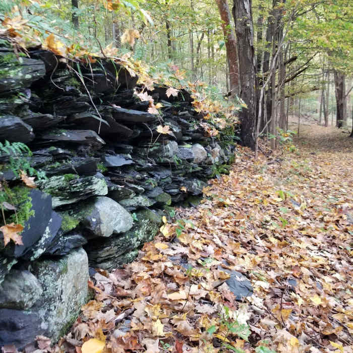Near Arrow Island Trail
