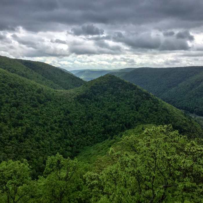 Near Golden Eagle Trail