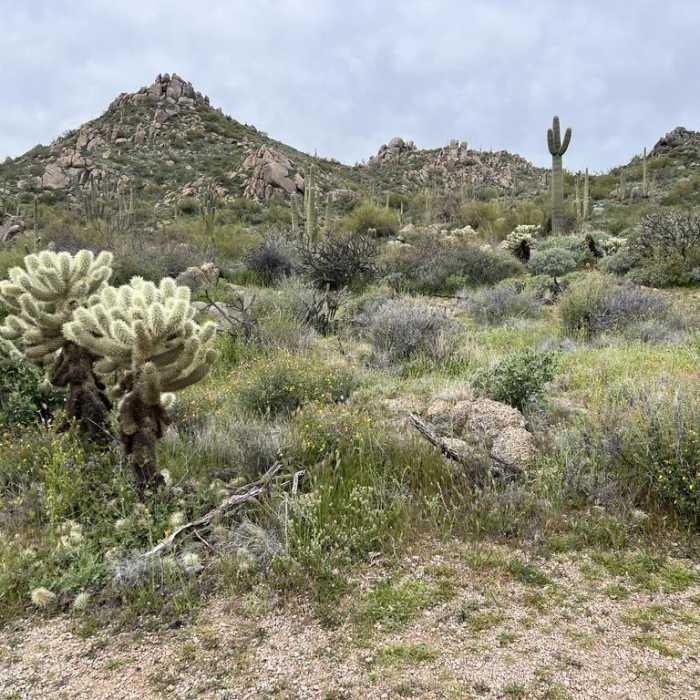Near Granite Mountain Loop