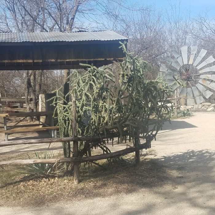 The picnic area is located at the halfway point on the Northwest Trail. Near Northwest Ridge Loop