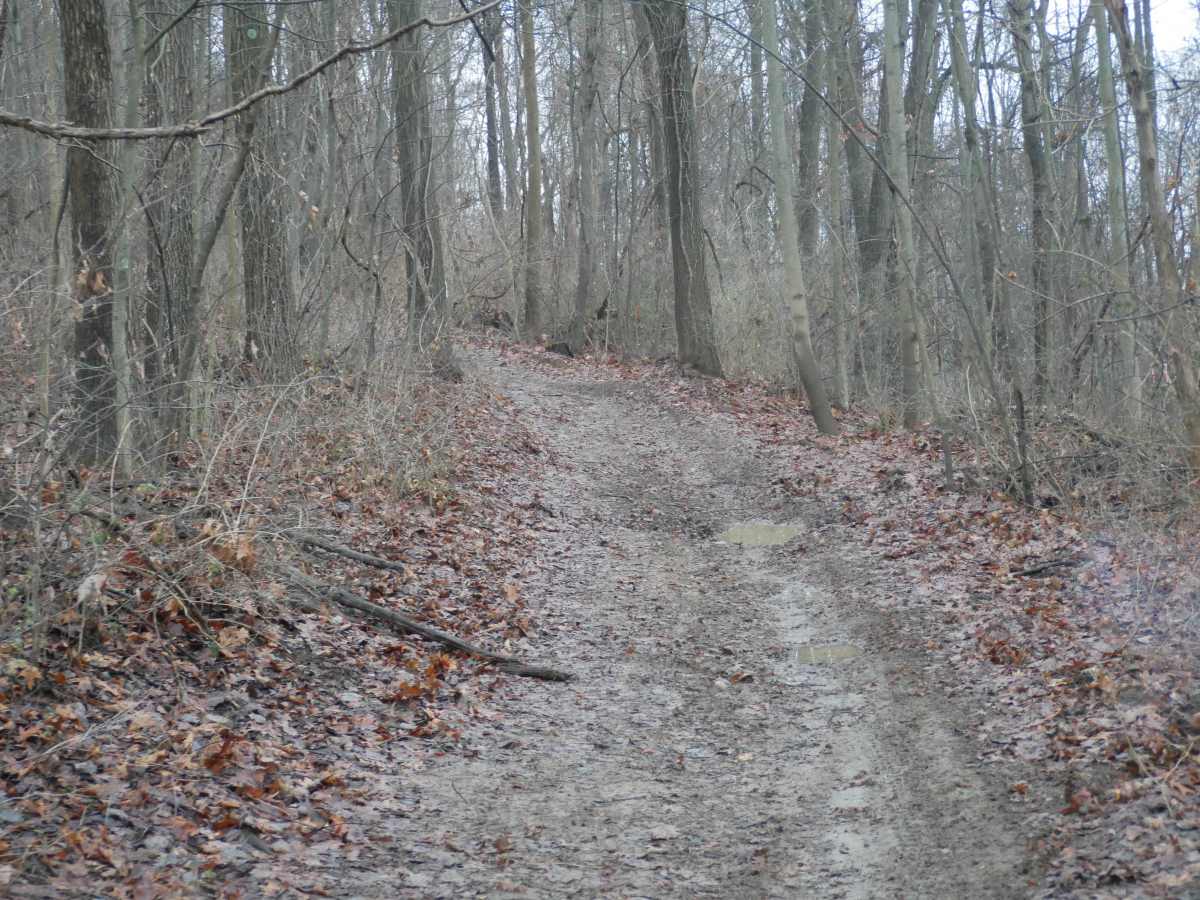 Trail 18 photo 3