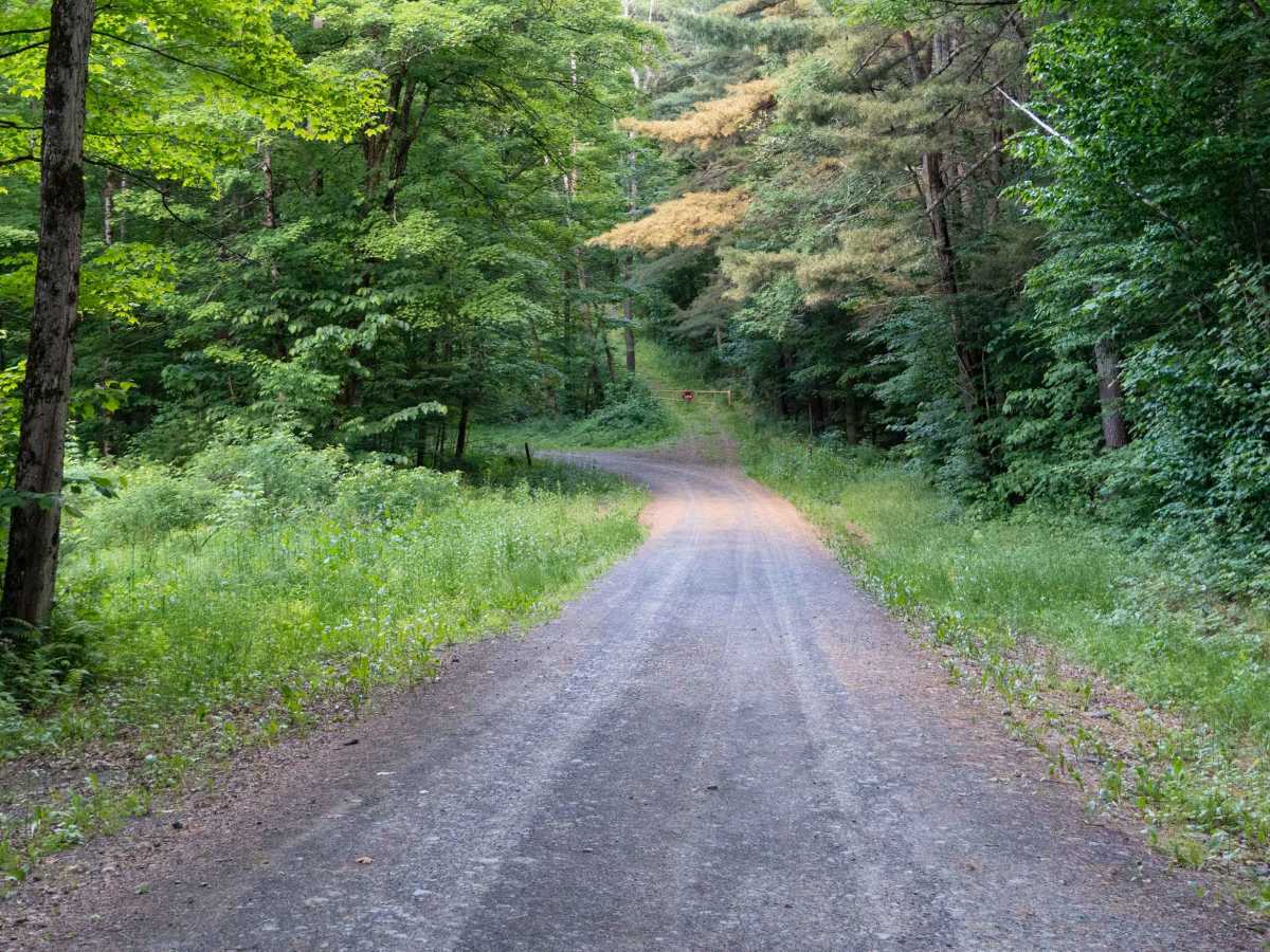 Truck Trail 7 photo 2