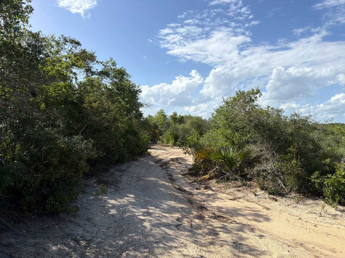 Lam Horse Trail - FS 22-2.8 trail photo