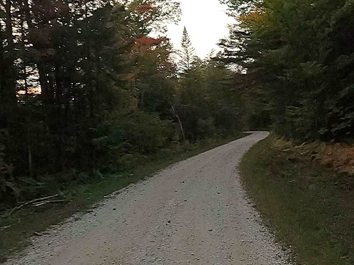 Carp River Road - FS 3308  photo 6