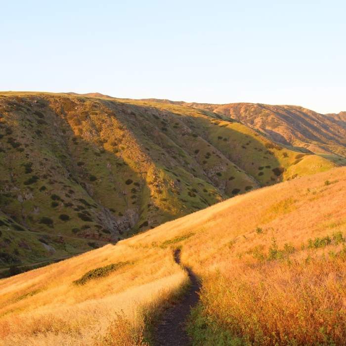 Near Cavern Point Loop Trail