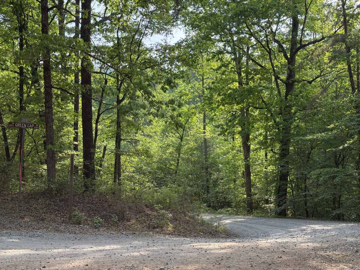 Green Gap - FS 6584 trail photo