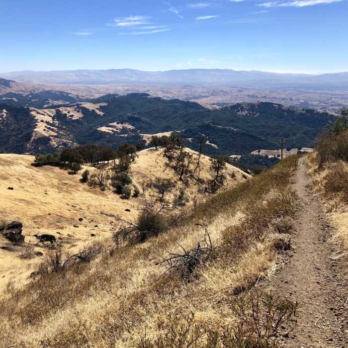 Summit Trail Near Mount Diablo Summit Loop - North