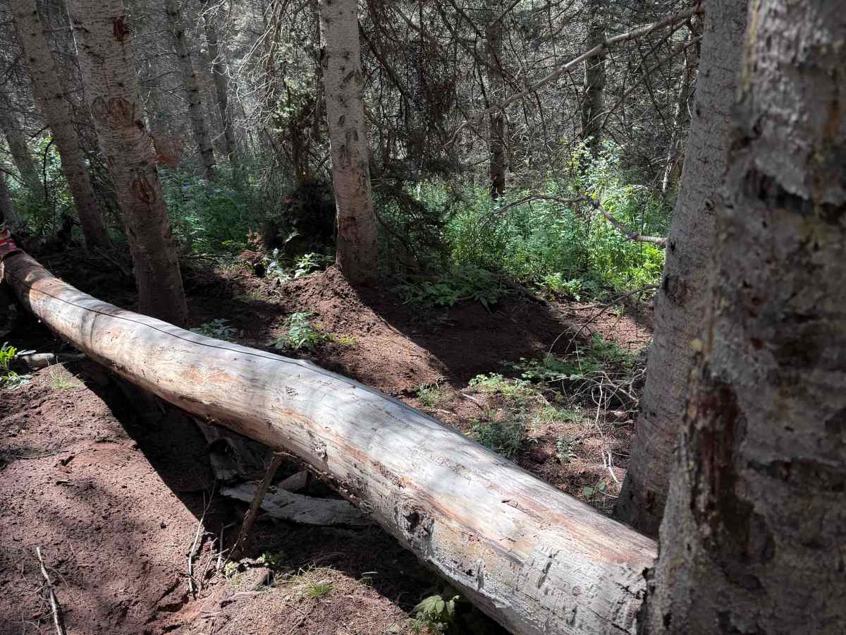 Johnny Bull - Trail 639  photo 6