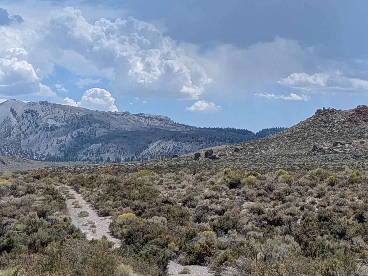 Forest Service Road 1S52 photo 3