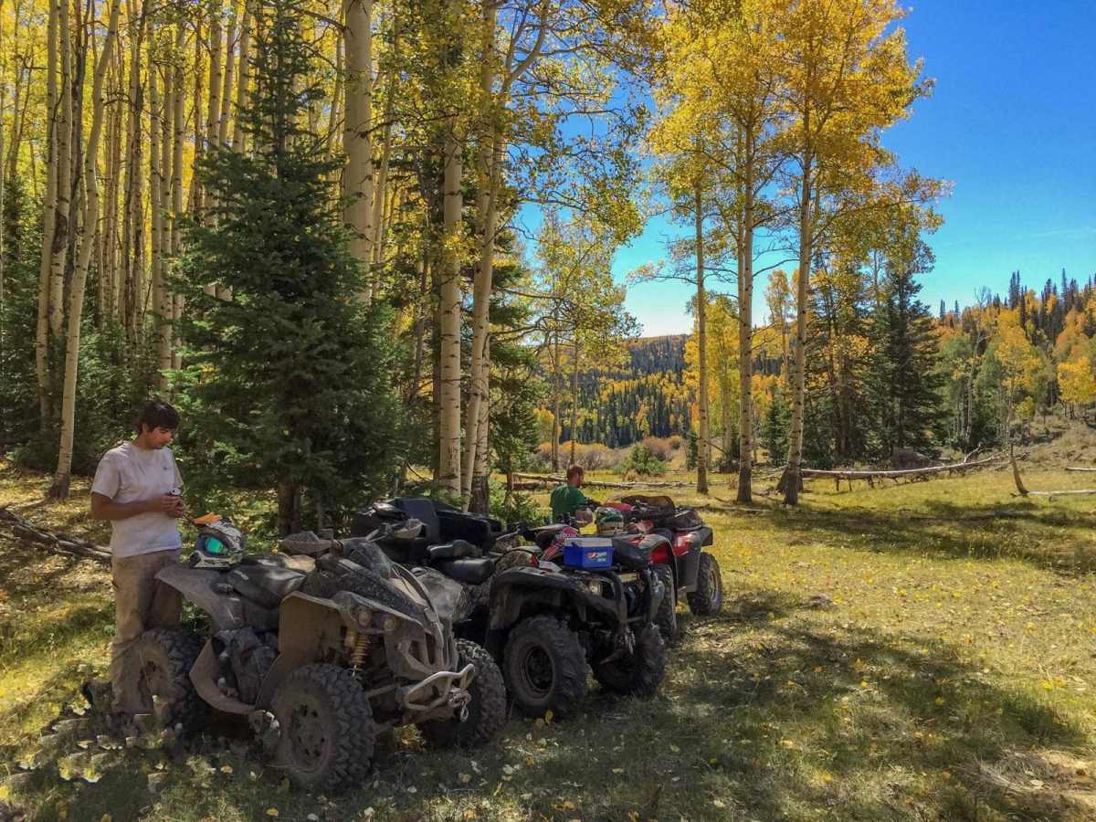 Paiute ATV Trail Dry Creek Monroe Mountains Loop photo 4