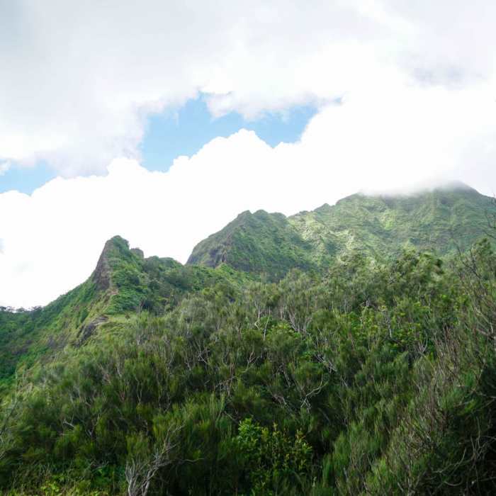 Near Pali Puka Near Pali Puka