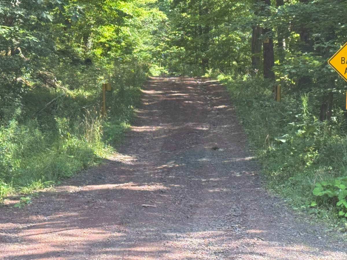 Bluebird Road photo 2