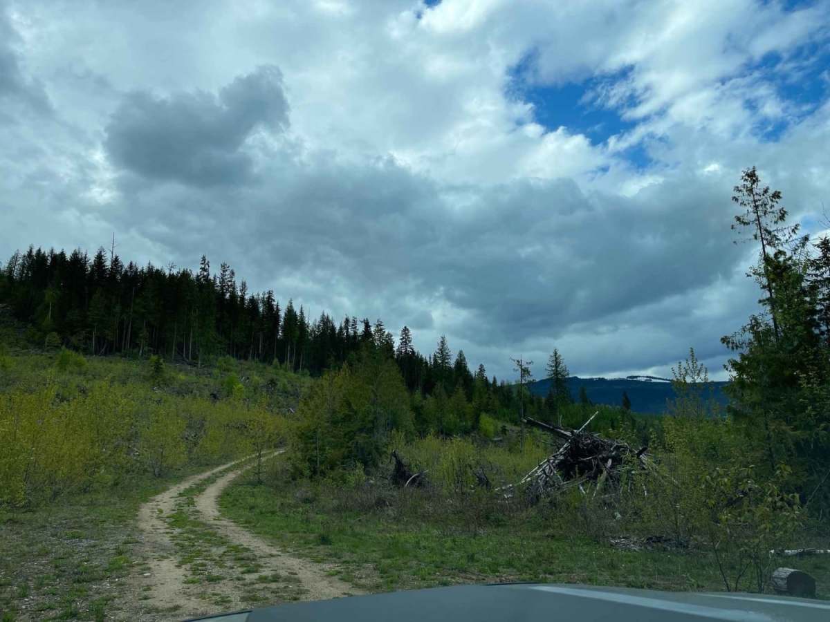 Sunshyne Road photo 2
