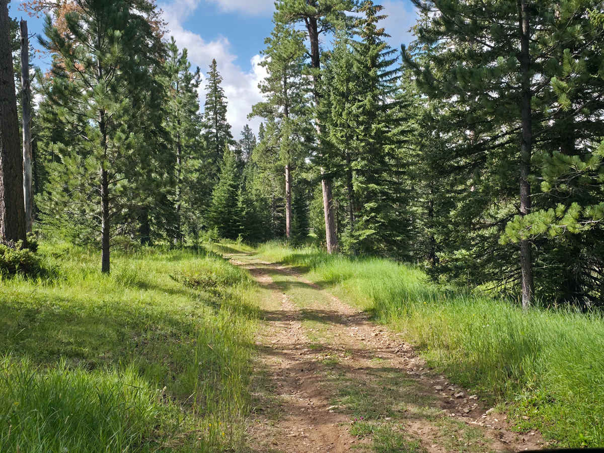 Rhoads Fork - FS 233.1B photo 6