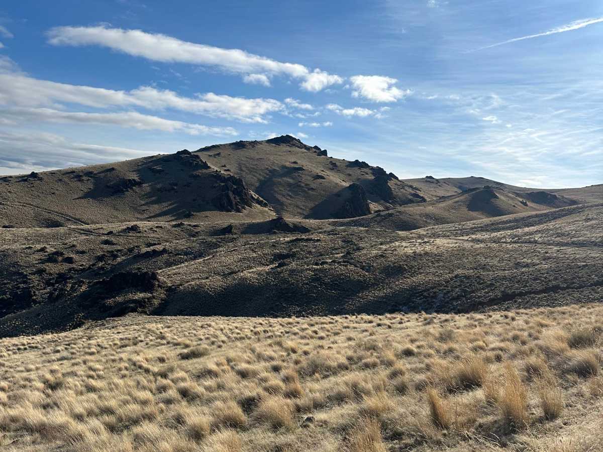 Rats Nest Gulch photo 6