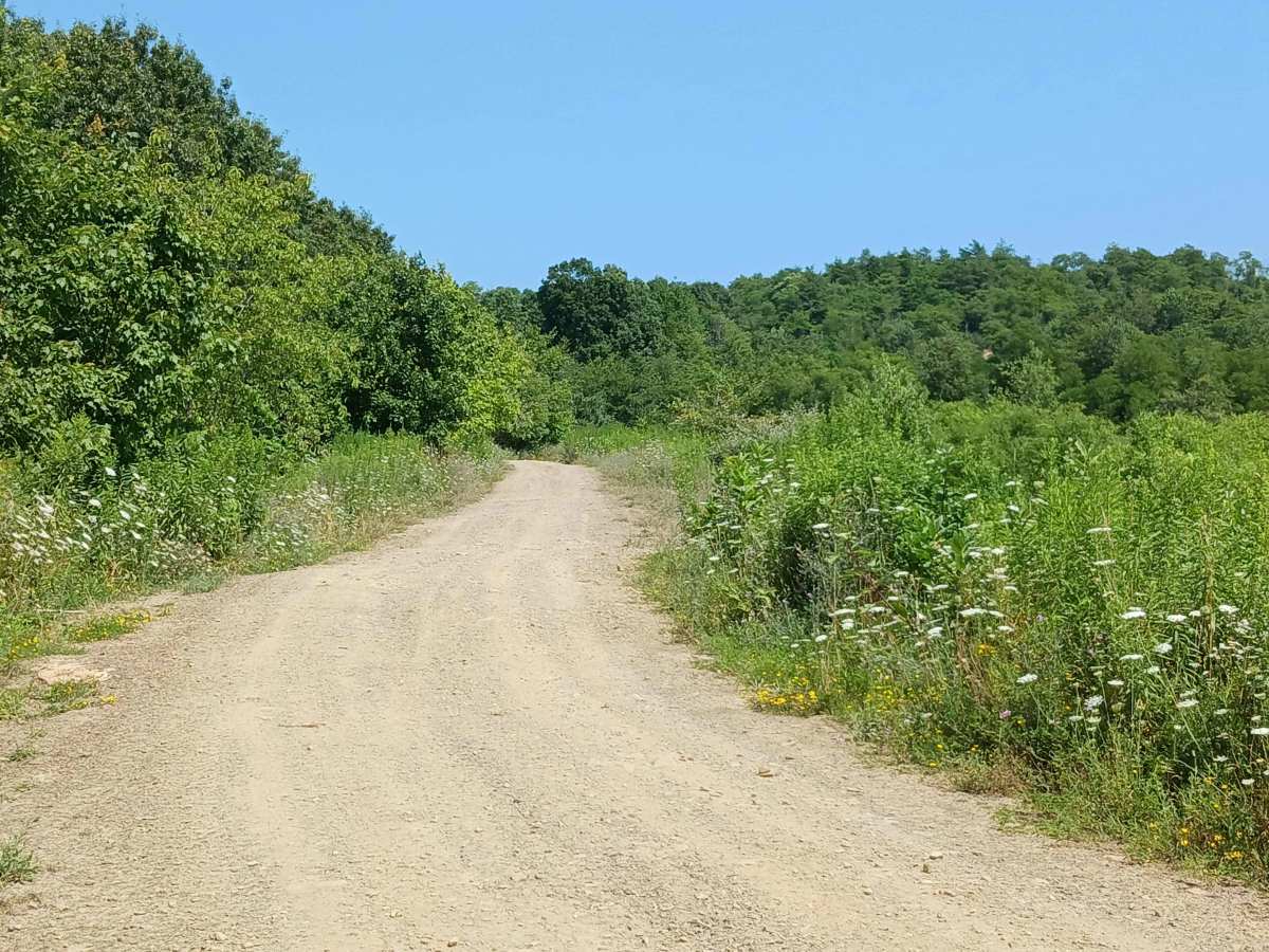 Play Pond Path Blue Trail - Rock Run Recreation Area photo 3