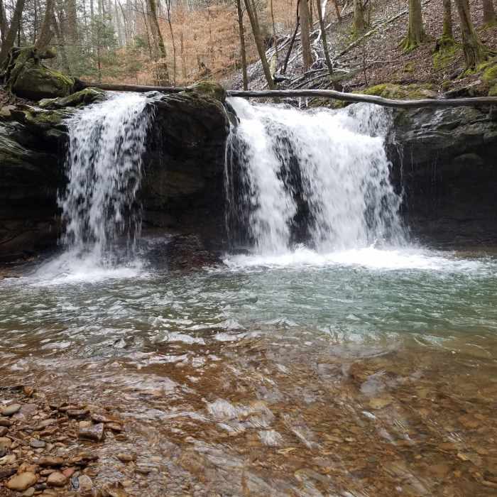 Near Panther Branch Trail