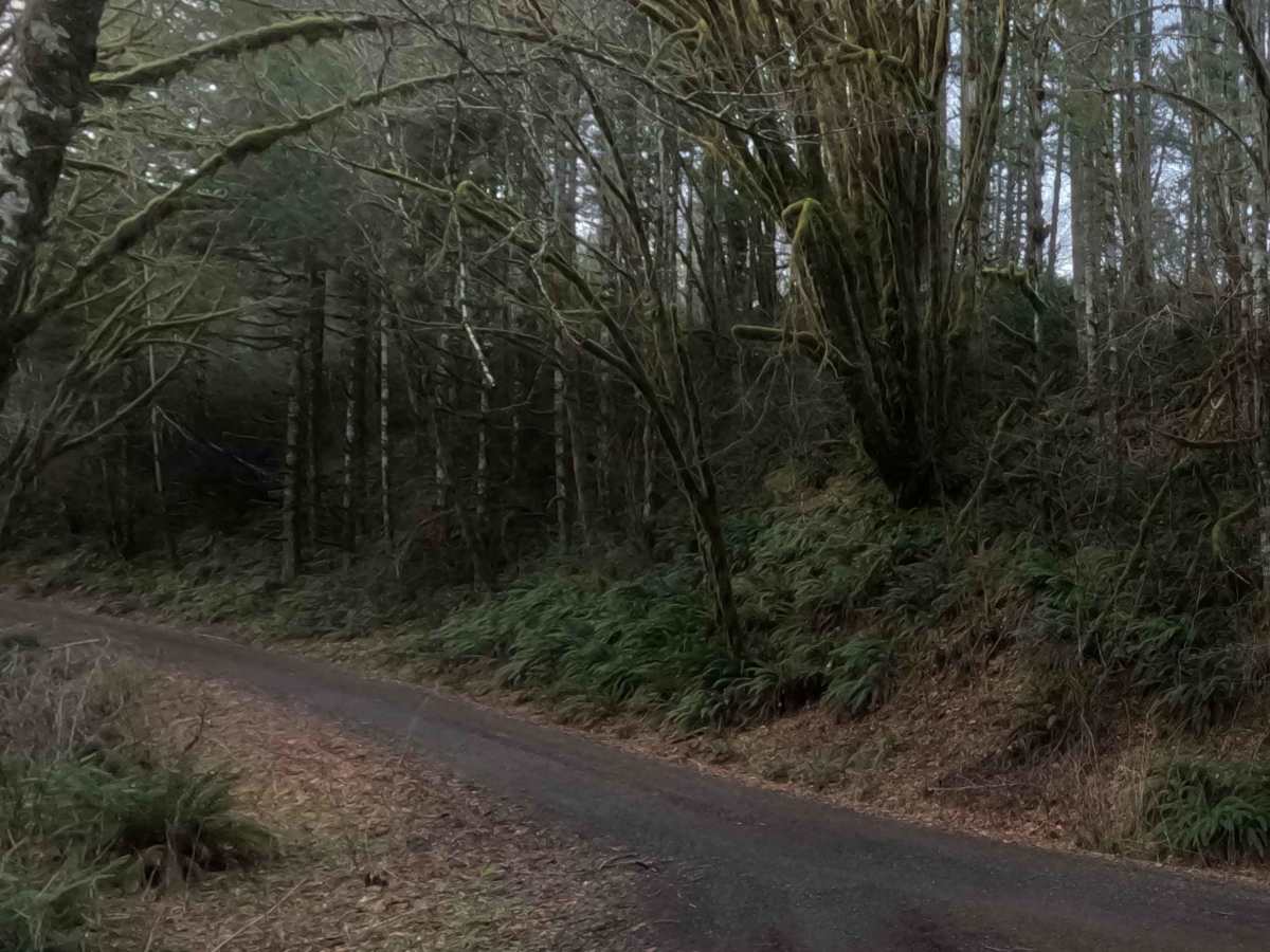 BSM Road photo 2
