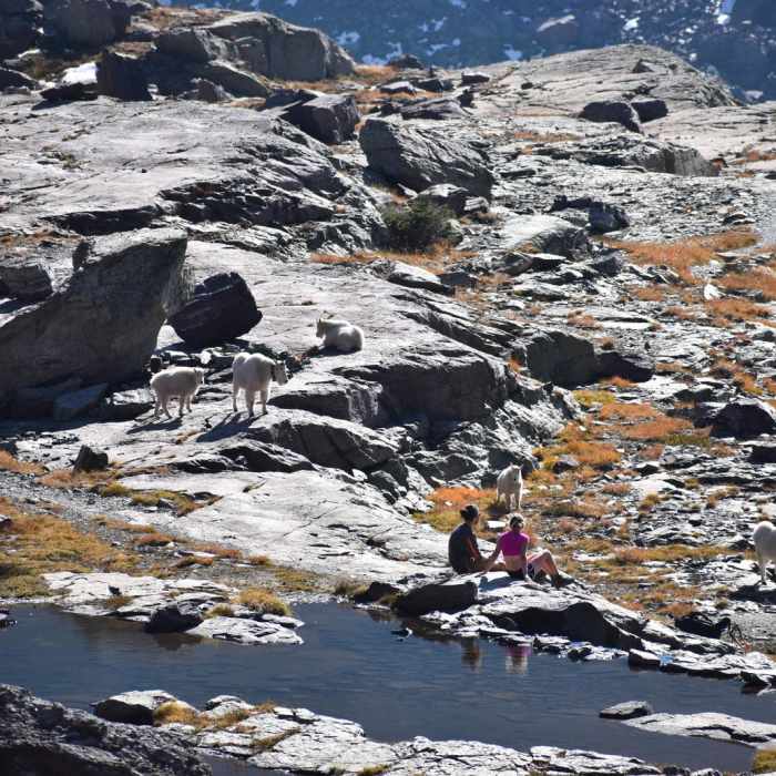 Near Sperry Glacier + Comeau Pass