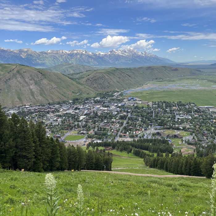 Near Snow King Summit Trail
