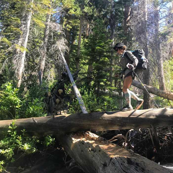 Near Second Recess Loop