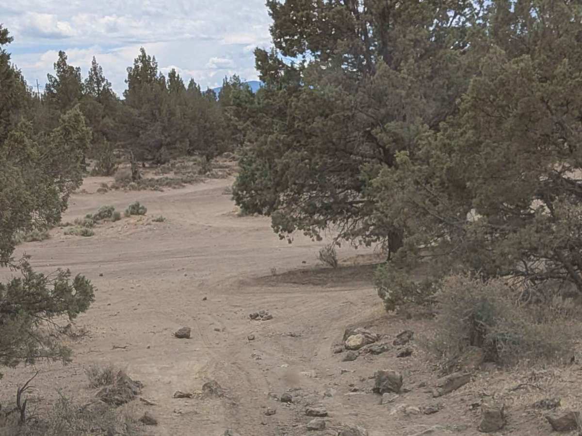 Cline Buttes OHV Trail 32 photo 4