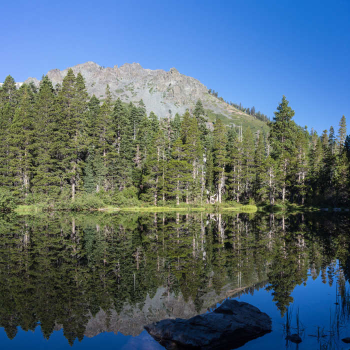 Amazing reflection of Mount Tallac in Floating Island Lake Near Floating Island / Mount Tallac Trail (17E33)