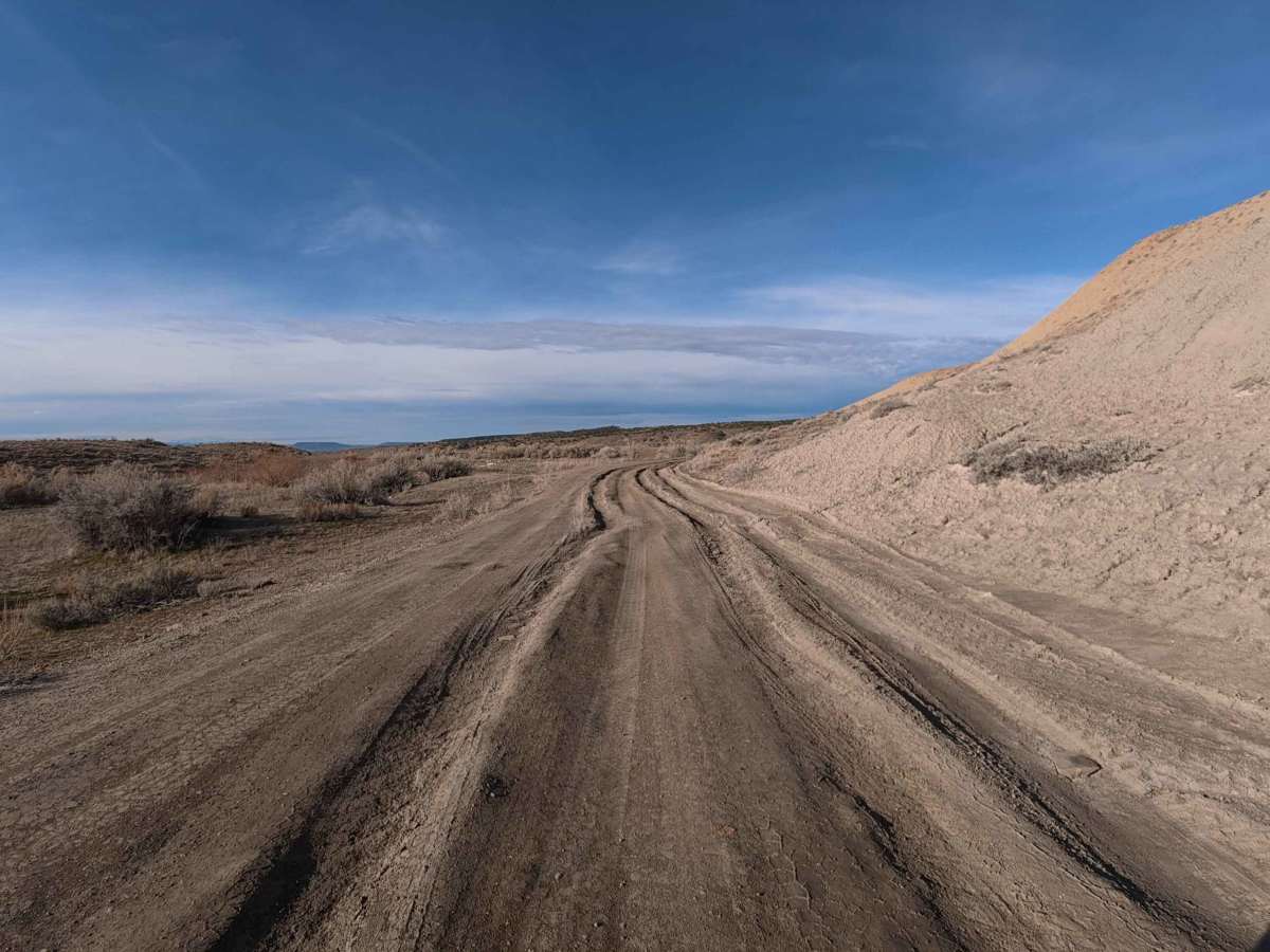 BLM 132 photo 3