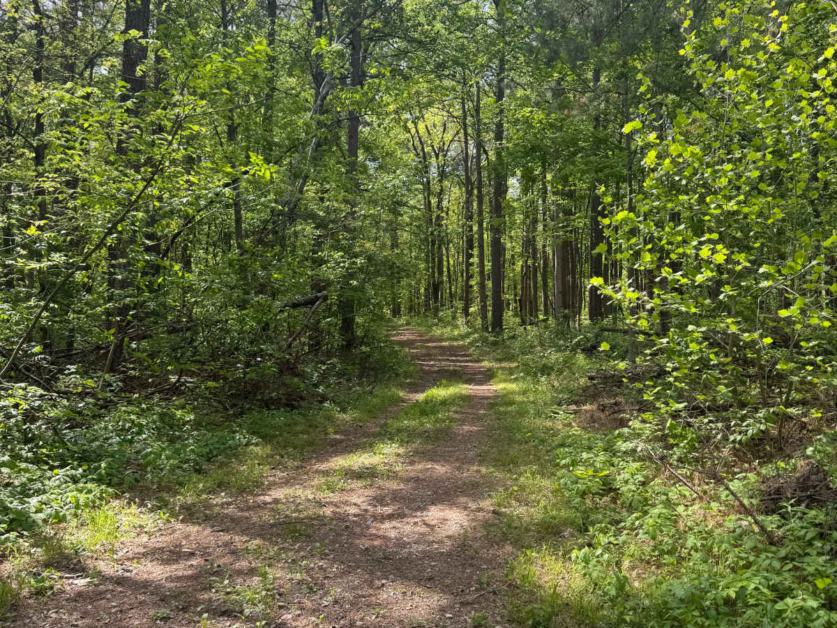 River to River Trail trail photo