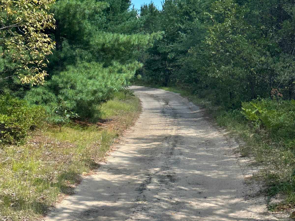 Muskrat Trail photo 3