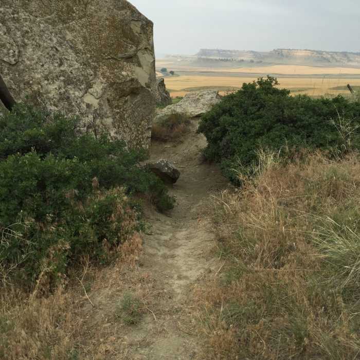 Top of a short but flowy descent.... Near Phipps Park