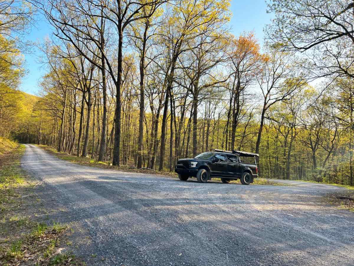 Hornet trail photo