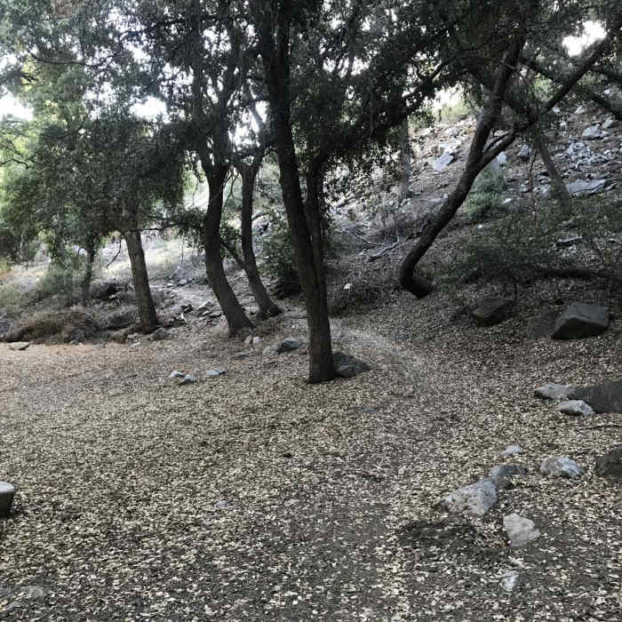 Near Colby Canyon Loop