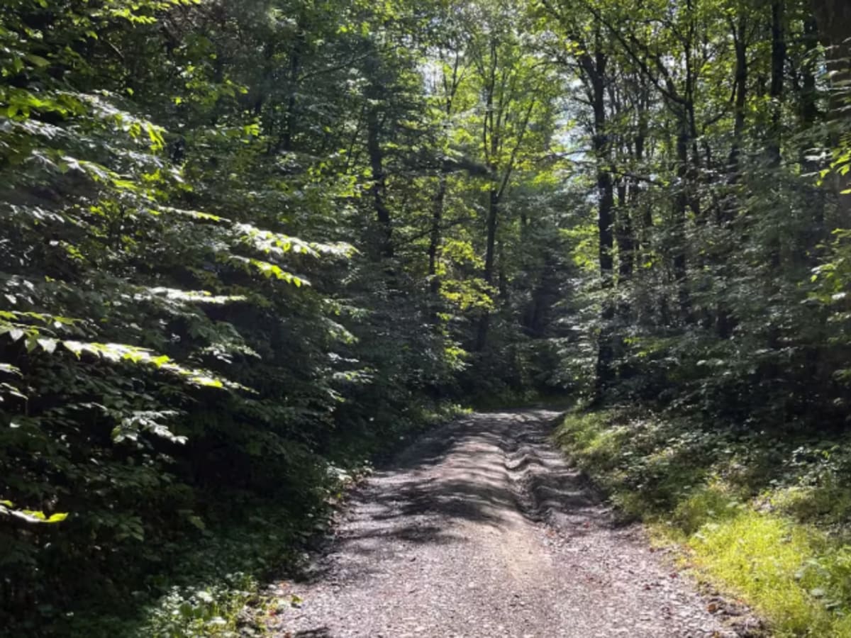 Connecticut Hill Road photo 6