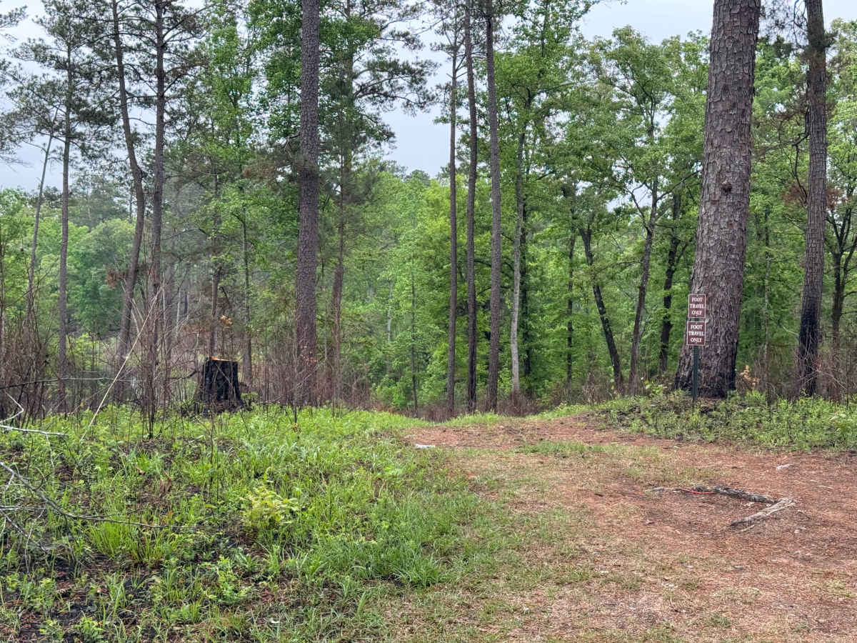 5 Points Lake North Access photo 4